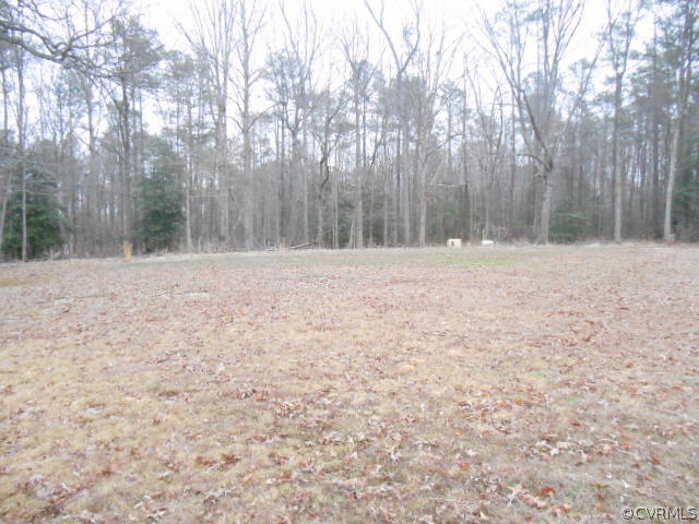 8361 Strath Road Richmond, VA 23231 - Photo 16 of 17