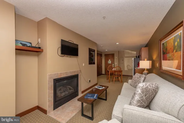 a living room with furniture a flat screen tv and a fireplace