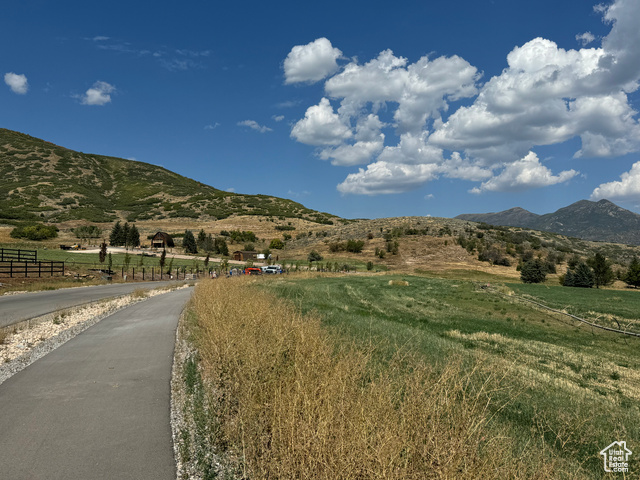 944 West Wards Lane, Unit 3 Midway, UT 84049 - Photo 6 of 59 Facing the Lot Looking North