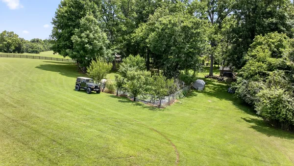 a view of a park with large trees