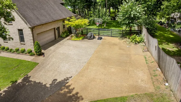 a view of a garden with plants