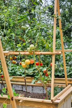 $3,700,000 | 3465 Carothers Parkway, Franklin, TN 37064