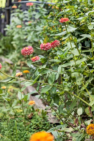 $3,700,000 | 3465 Carothers Parkway, Franklin, TN 37064