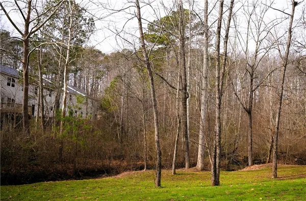 a view of yard with trees