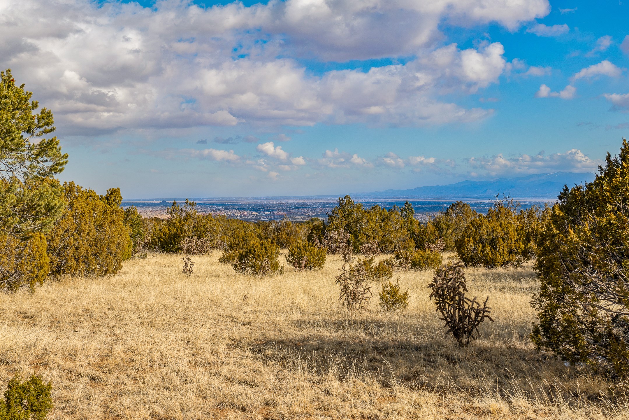 156 Wagon Trail Road Cerrillos, NM 87010 - Photo 13 of 24