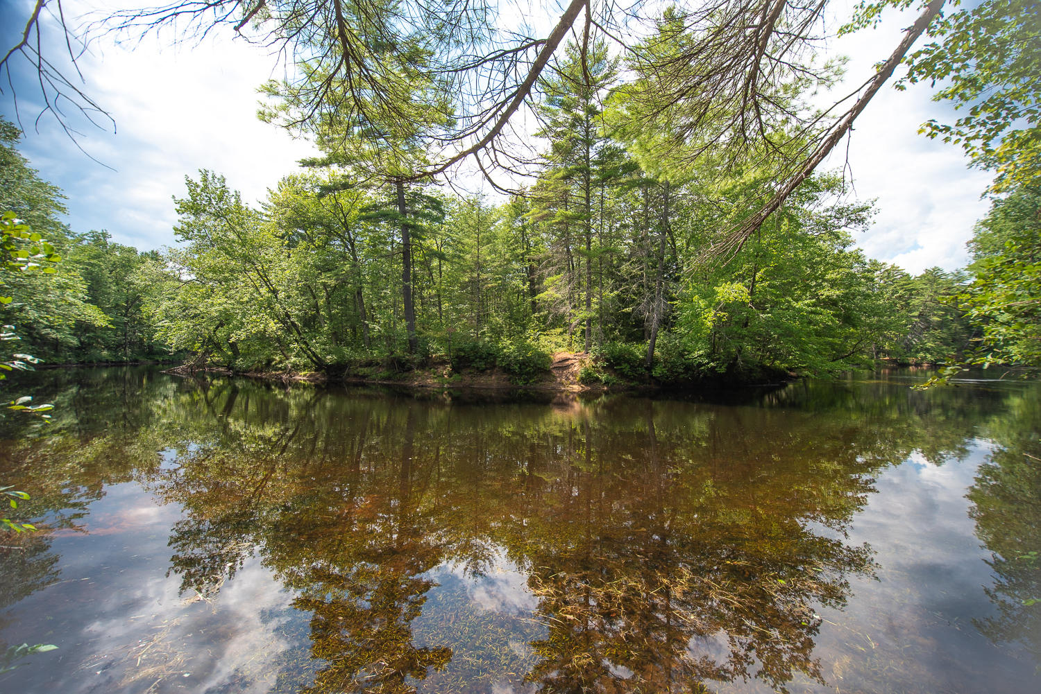 908 Chadbourne Ridge Road North Waterboro, ME 04061 - Photo 18 of 18 Chadbourne Ridge_45