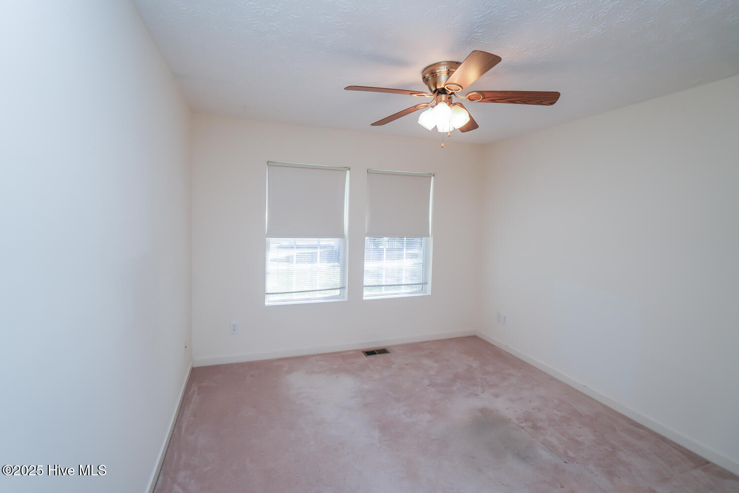 255 Cedar Road Boiling Spring Lakes, NC 28461 - Photo 17 of 20 255 Cedar Rd Southport NC-large-013-013-