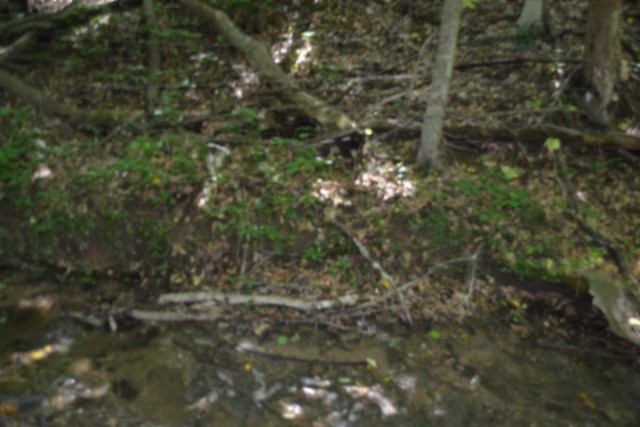0 Pea Ridge Fire Tower Road Celina, TN 38551 - Photo 22 of 53