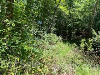 1 Trails End Road Denver, NC 28037 - Photo 11 of 14 Gallery Image 11