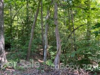1 Trails End Road Denver, NC 28037 - Photo 12 of 14 Gallery Image 12