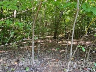 1 Trails End Road Denver, NC 28037 - Photo 13 of 14 Gallery Image 13