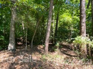 1 Trails End Road Denver, NC 28037 - Photo 14 of 14 Gallery Image 14