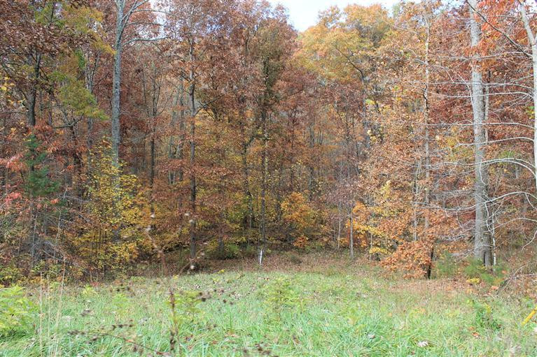 547 Joe Damrell Road Berea, KY 40403 - Photo 5 of 5 Photo 5
