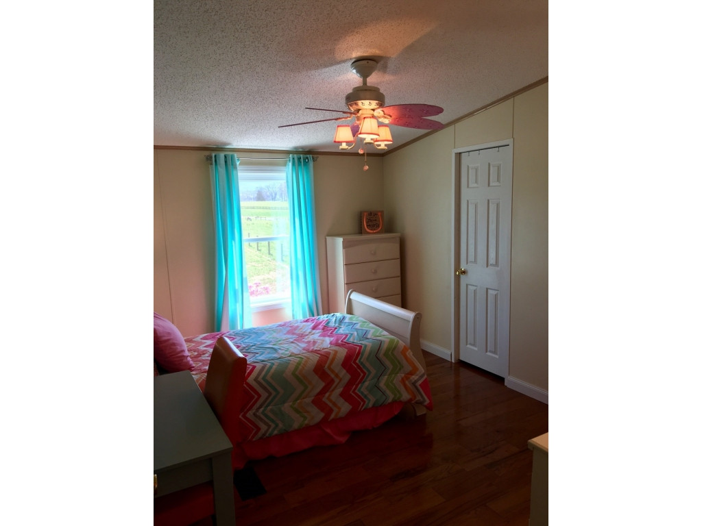 31574 Zephyr Road Meadowview, VA 24361 - Photo 26 of 32 Photo 26