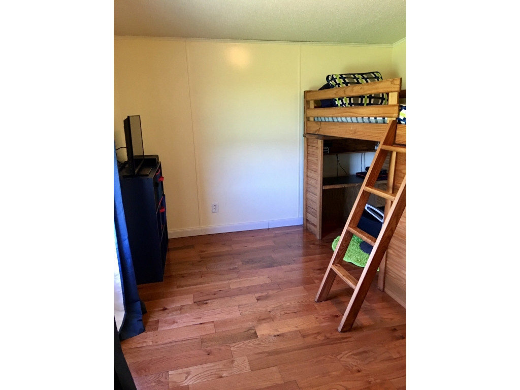 31574 Zephyr Road Meadowview, VA 24361 - Photo 28 of 32 Photo 28