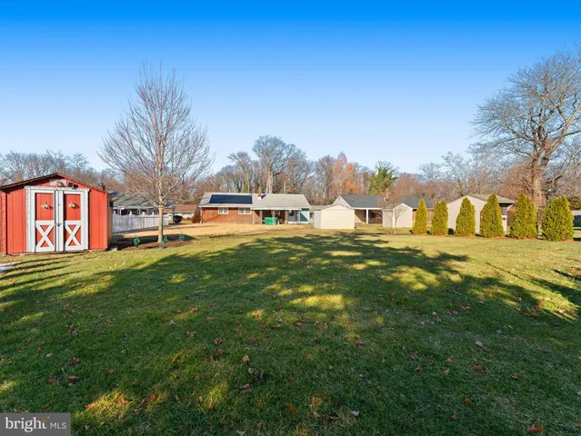 a view of a park with large trees