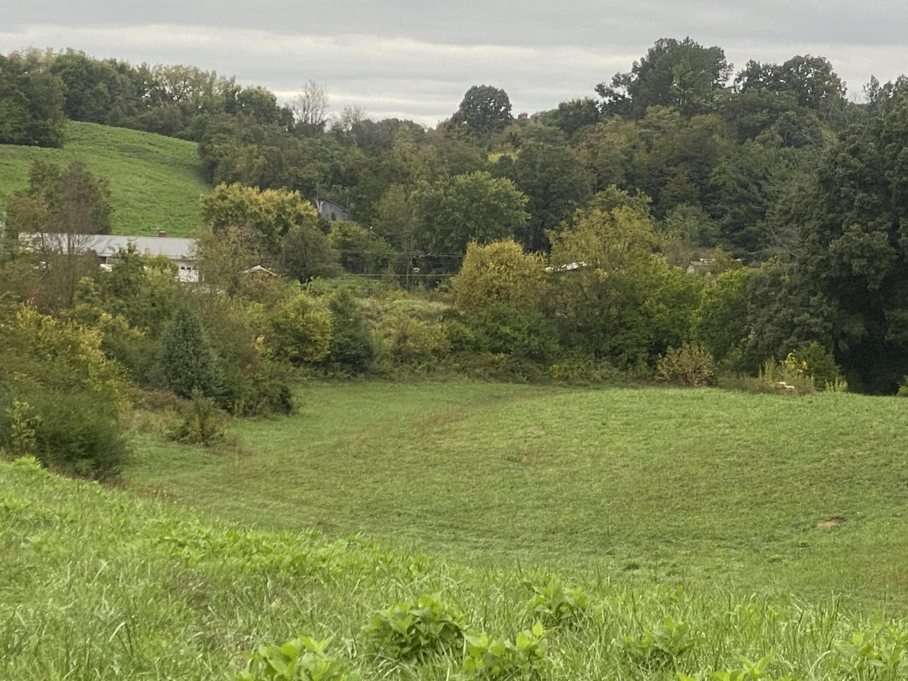 935 Warrensburg Road Greeneville, TN 37743 - Photo 25 of 46 IMG_3946