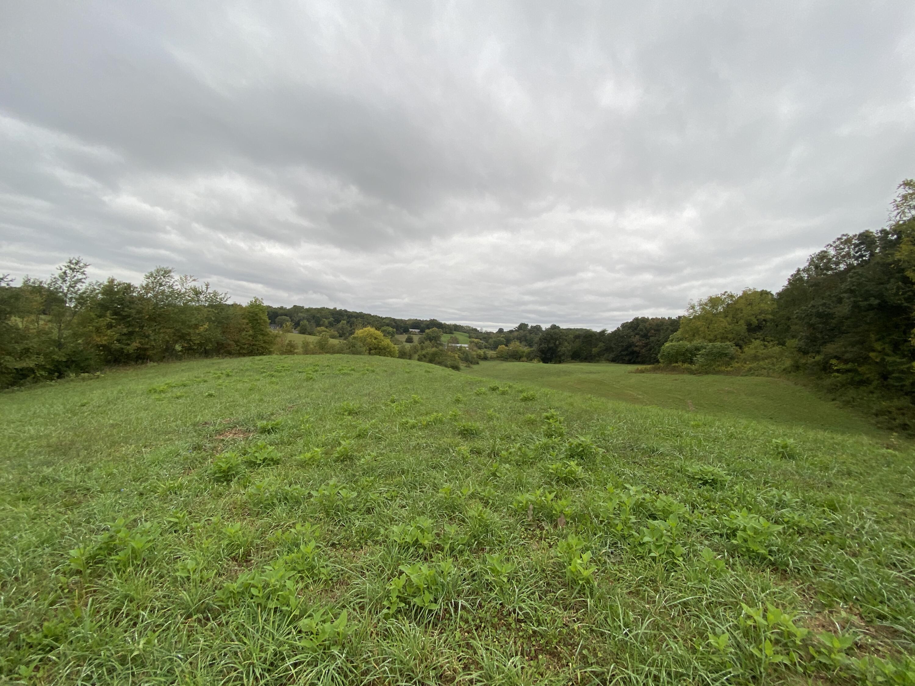 935 Warrensburg Road Greeneville, TN 37743 - Photo 27 of 46 IMG_3944