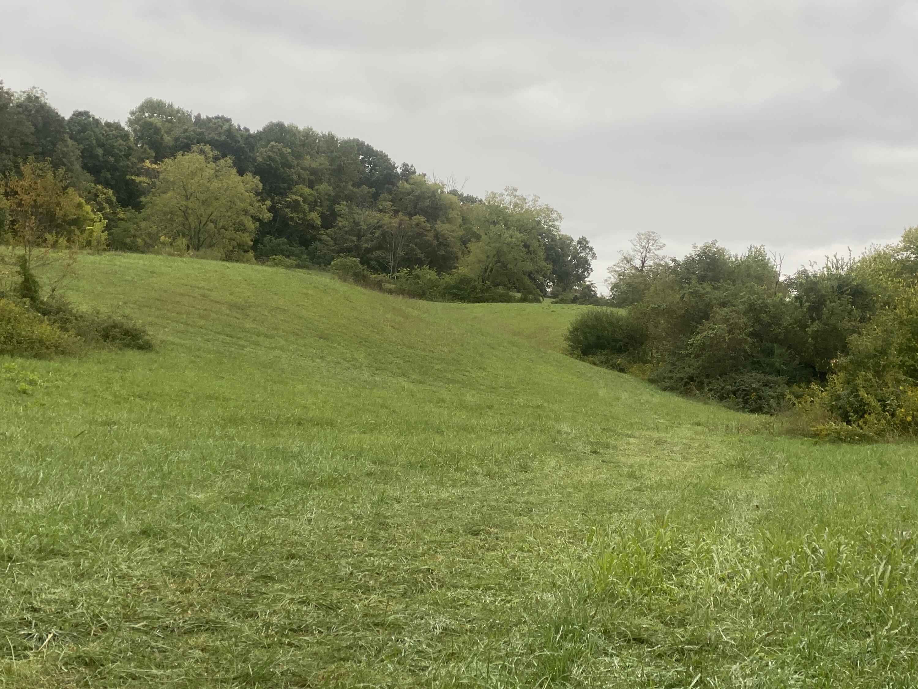 935 Warrensburg Road Greeneville, TN 37743 - Photo 29 of 46 IMG_3939