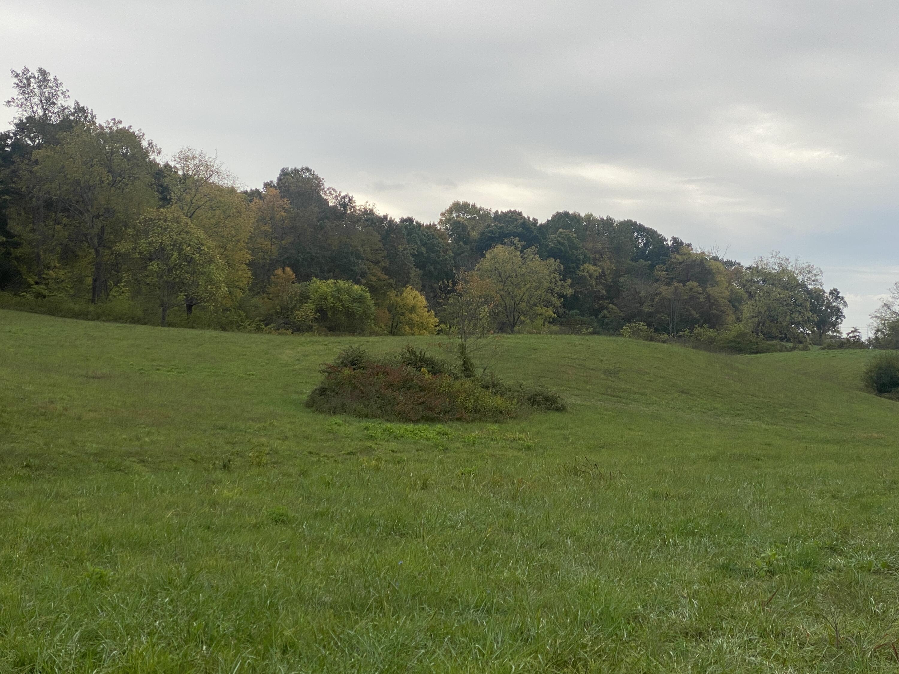 935 Warrensburg Road Greeneville, TN 37743 - Photo 35 of 46 IMG_4479