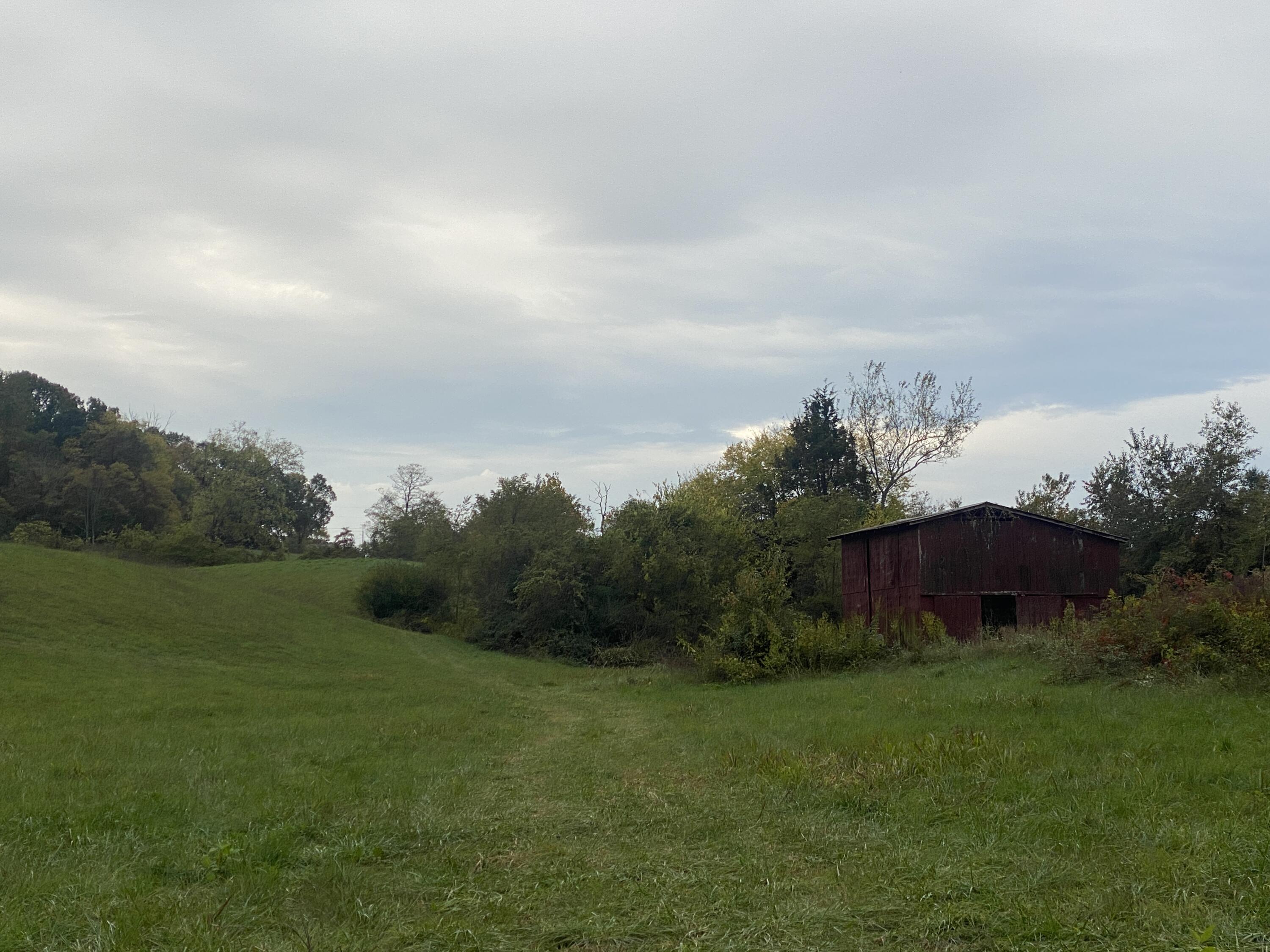 935 Warrensburg Road Greeneville, TN 37743 - Photo 36 of 46 IMG_4480