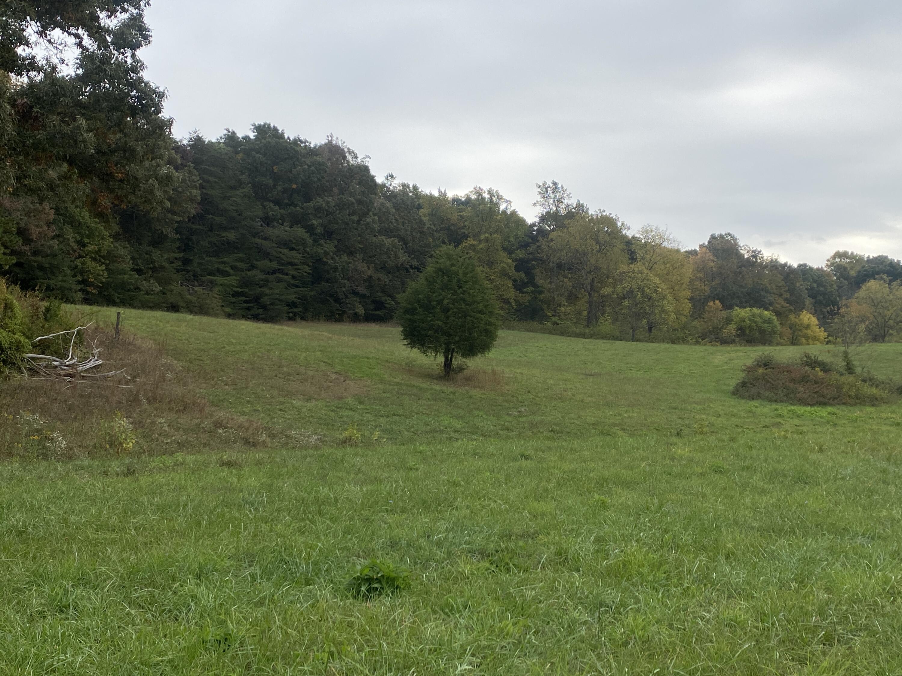 935 Warrensburg Road Greeneville, TN 37743 - Photo 37 of 46 IMG_4481