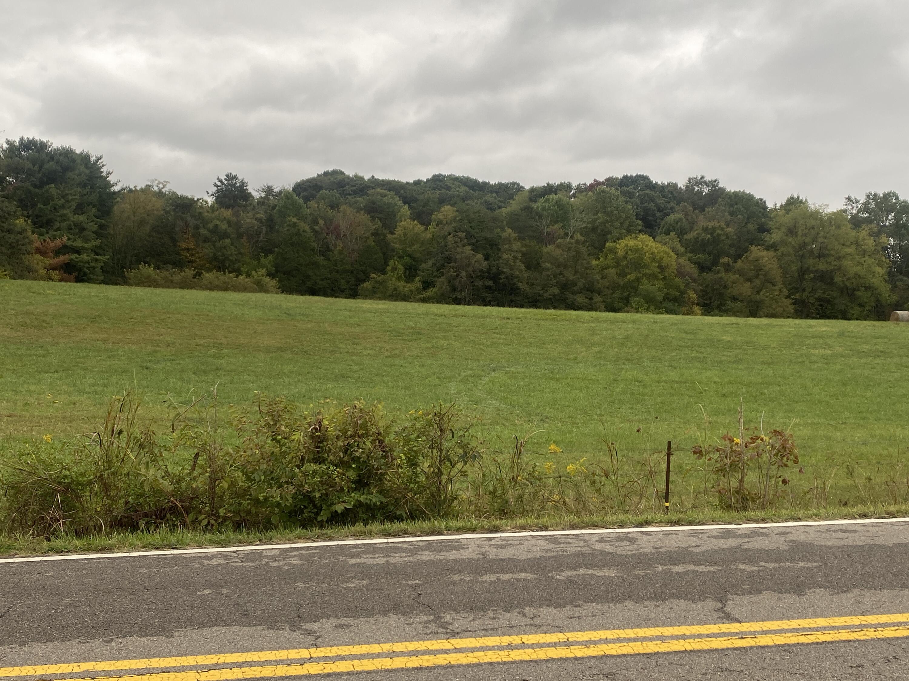 935 Warrensburg Road Greeneville, TN 37743 - Photo 40 of 46 IMG_3969