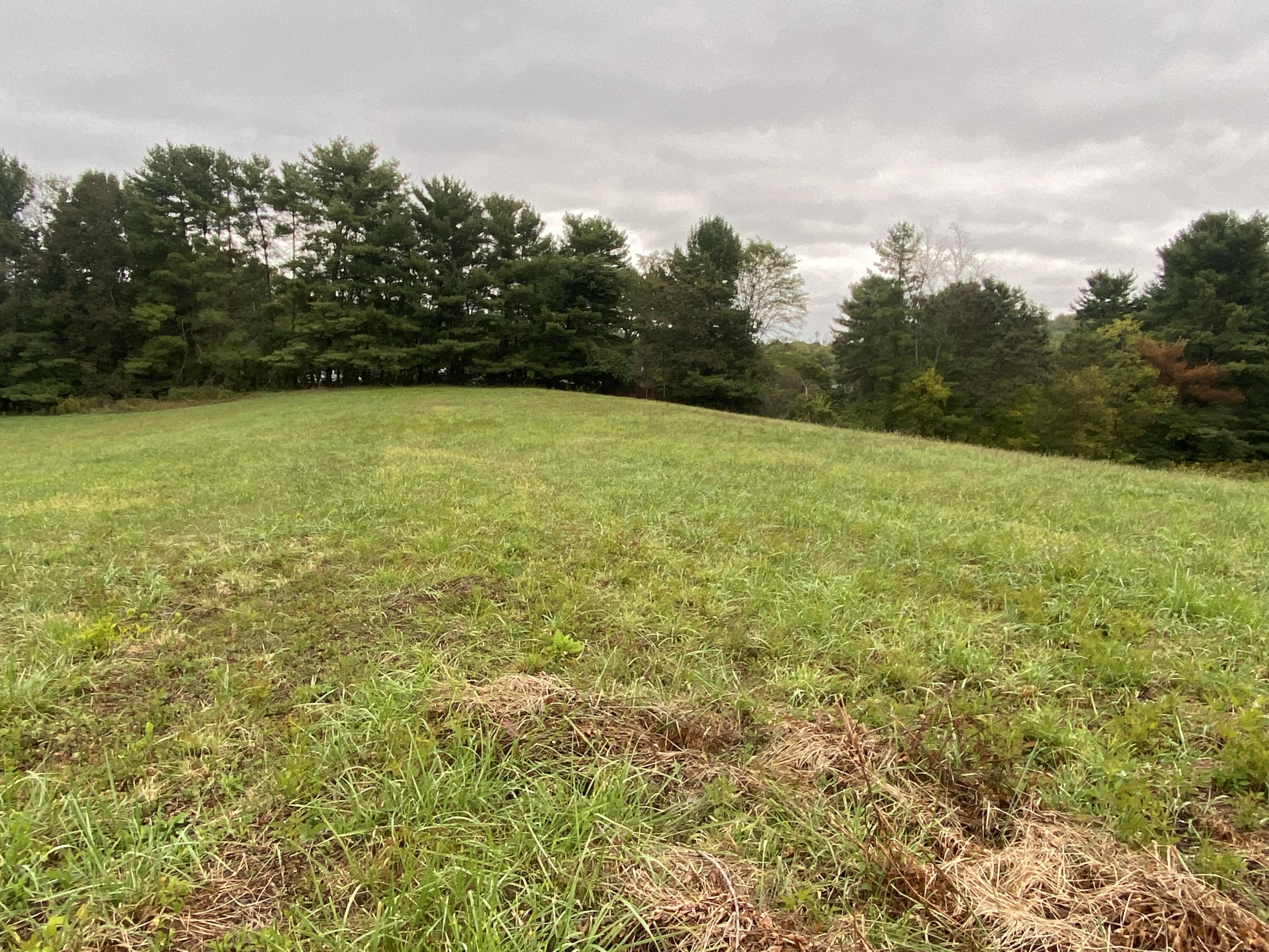 935 Warrensburg Road Greeneville, TN 37743 - Photo 44 of 46 IMG_3967