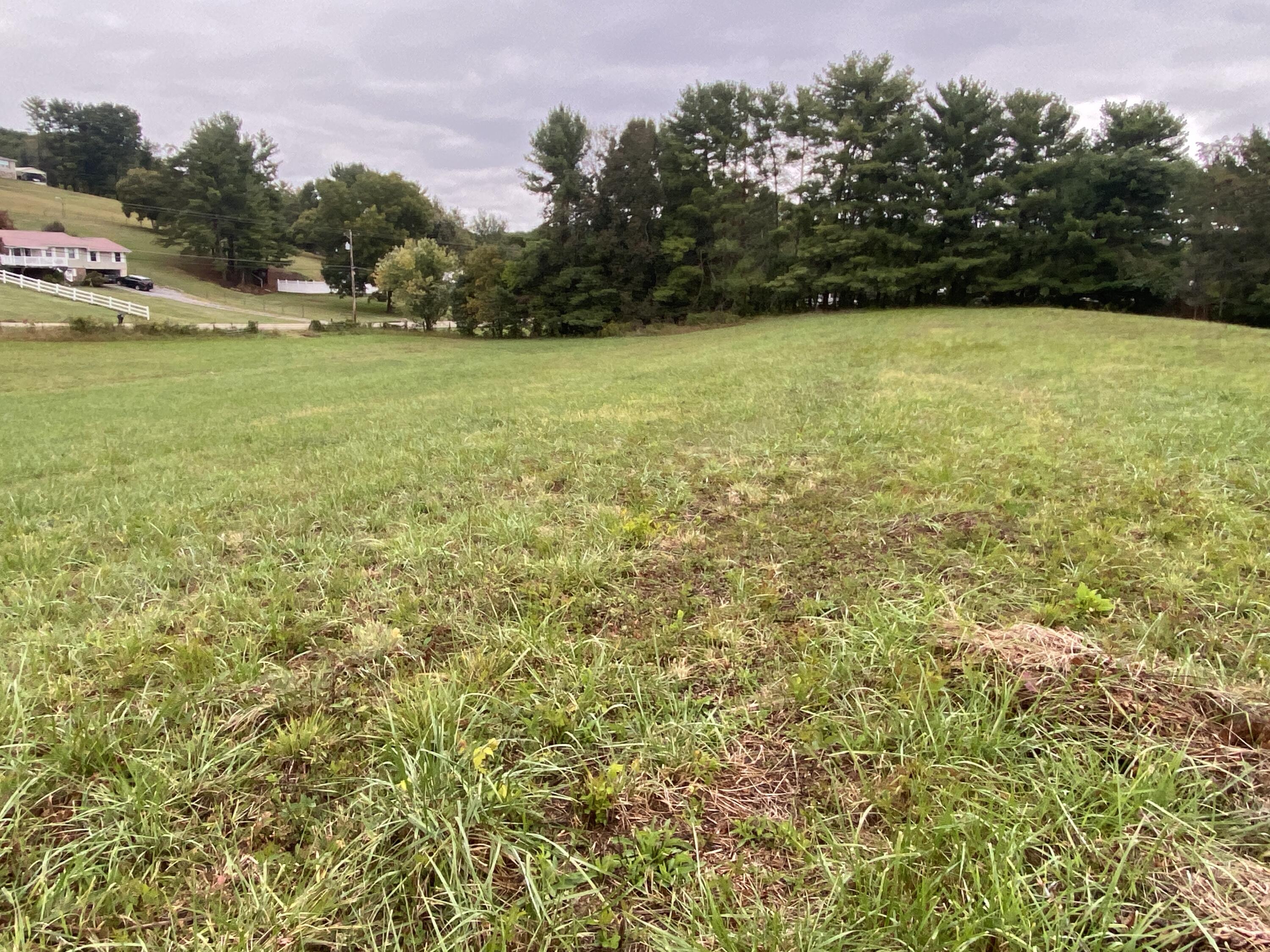 935 Warrensburg Road Greeneville, TN 37743 - Photo 45 of 46 IMG_3966