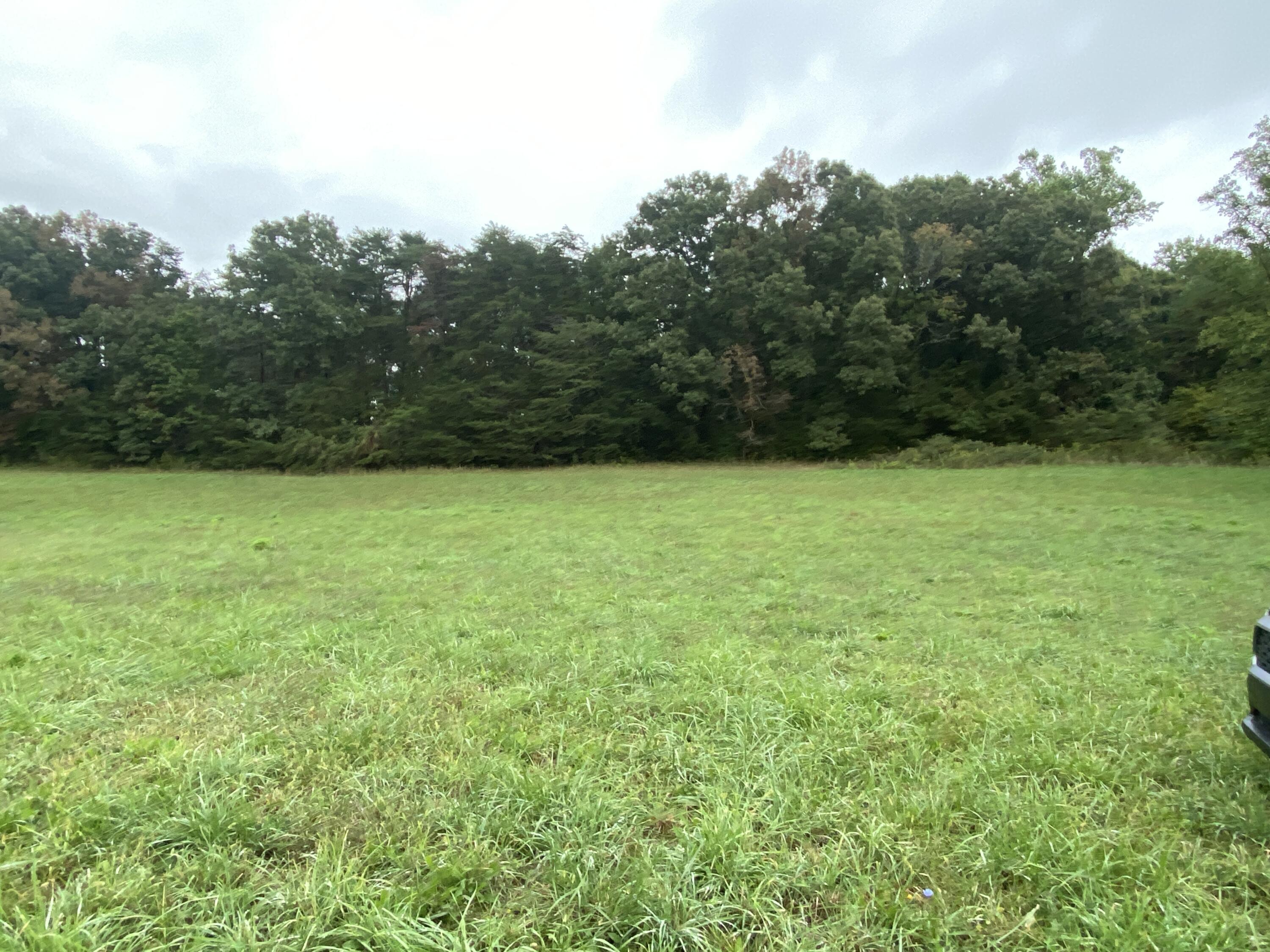 935 Warrensburg Road Greeneville, TN 37743 - Photo 6 of 46 IMG_3953
