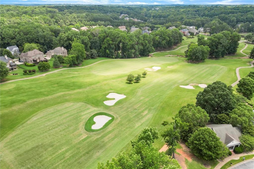248 Cedarhurst Drive Canton, GA 30115 - Photo 72 of 76 a view of a trees in a garden