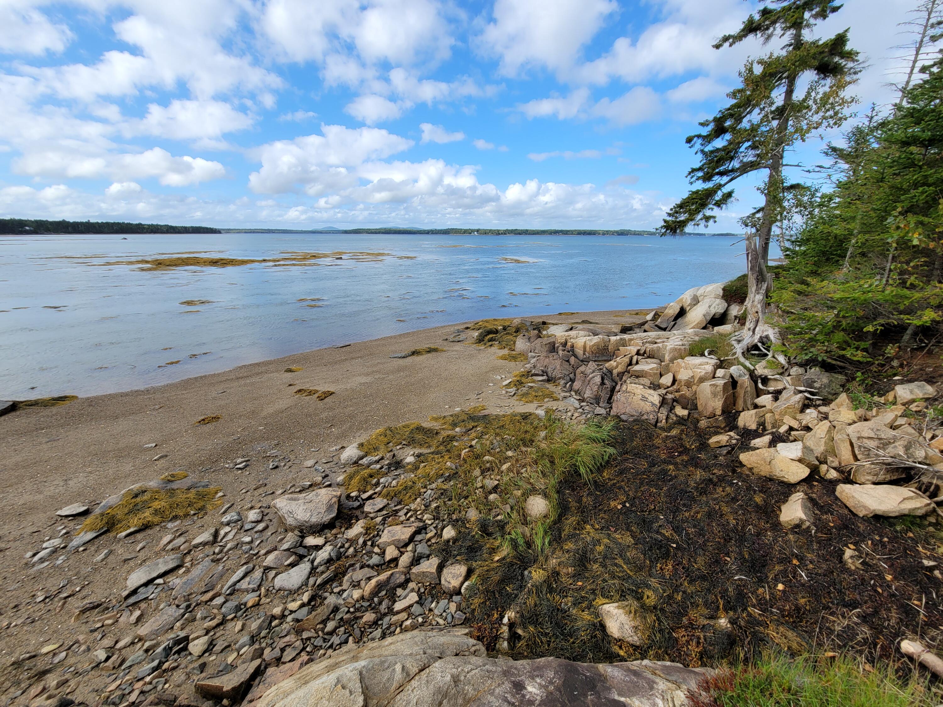 36 Peninsula Shores Road Corea, ME 04624 - Photo 2 of 13 Stunning Open Views
