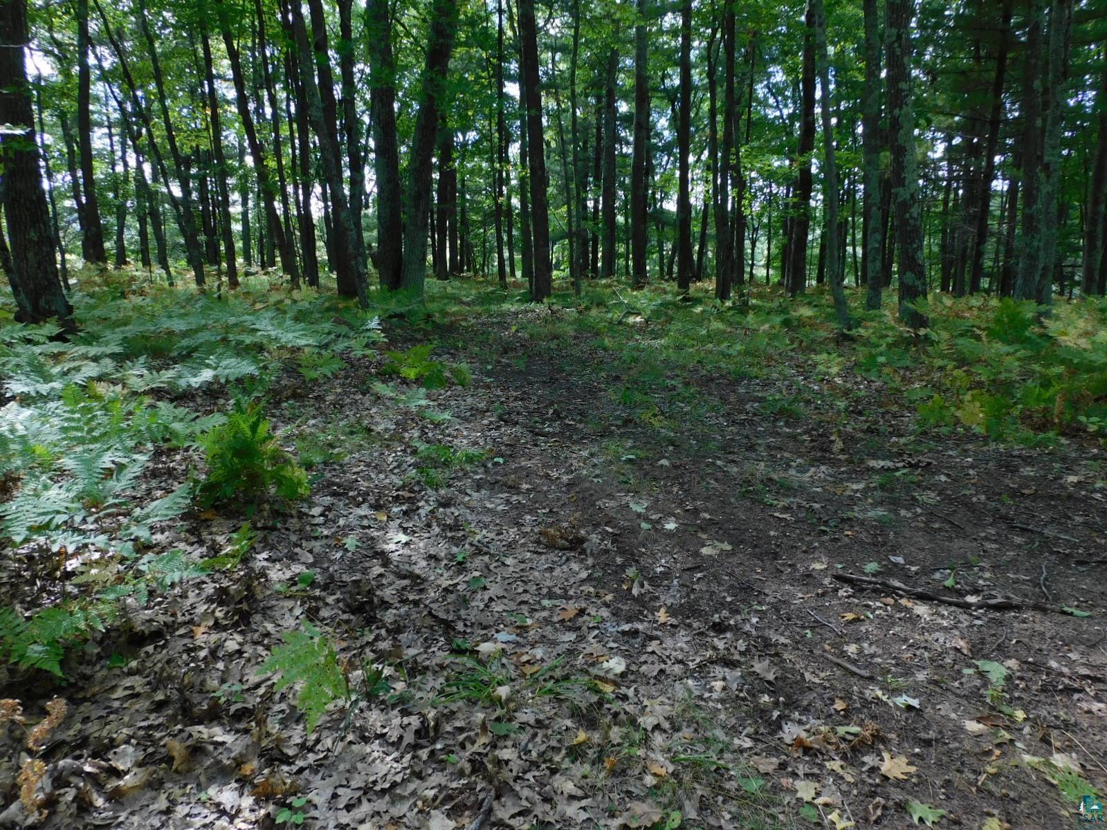 Xxxx Xxxx Whitetail Ridge Road Iron River, WI 54847 - Photo 20 of 40 Open areas to park or turn around