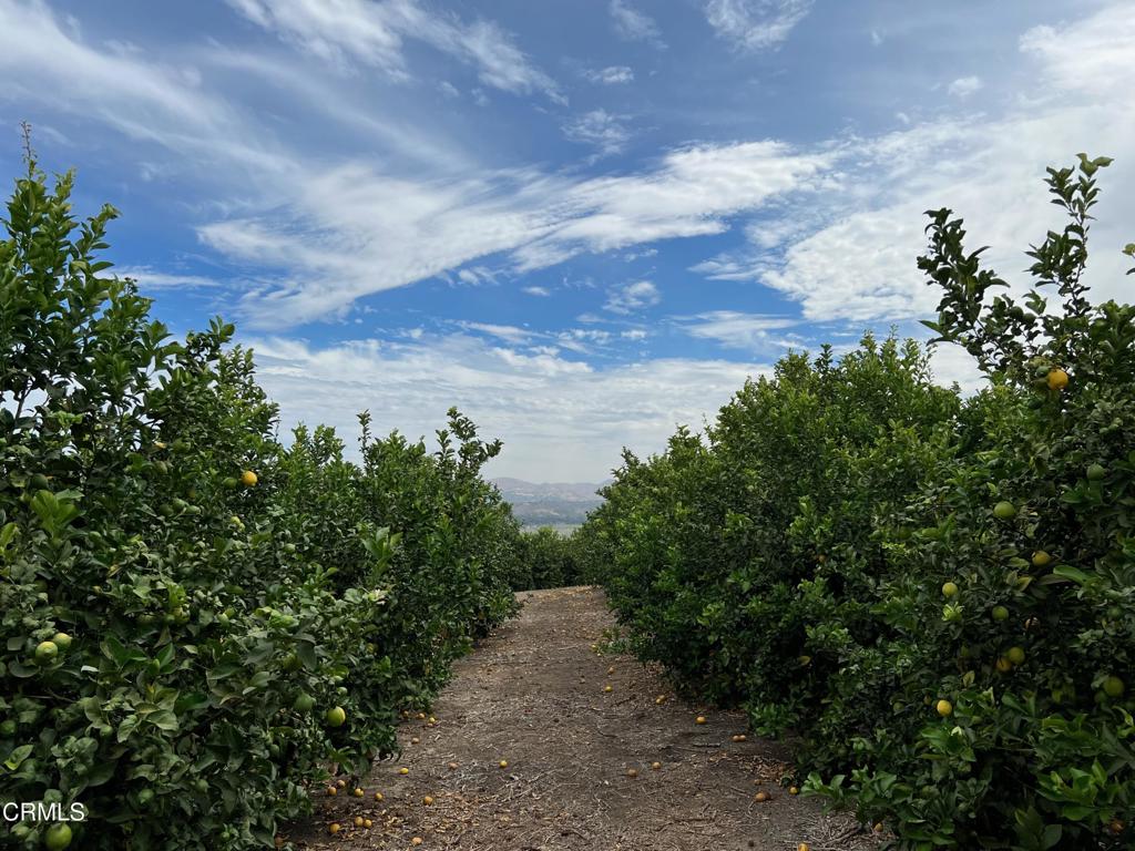 0 Ventavo Road Moorpark, CA 93021 - Photo 21 of 24 IMG_3772