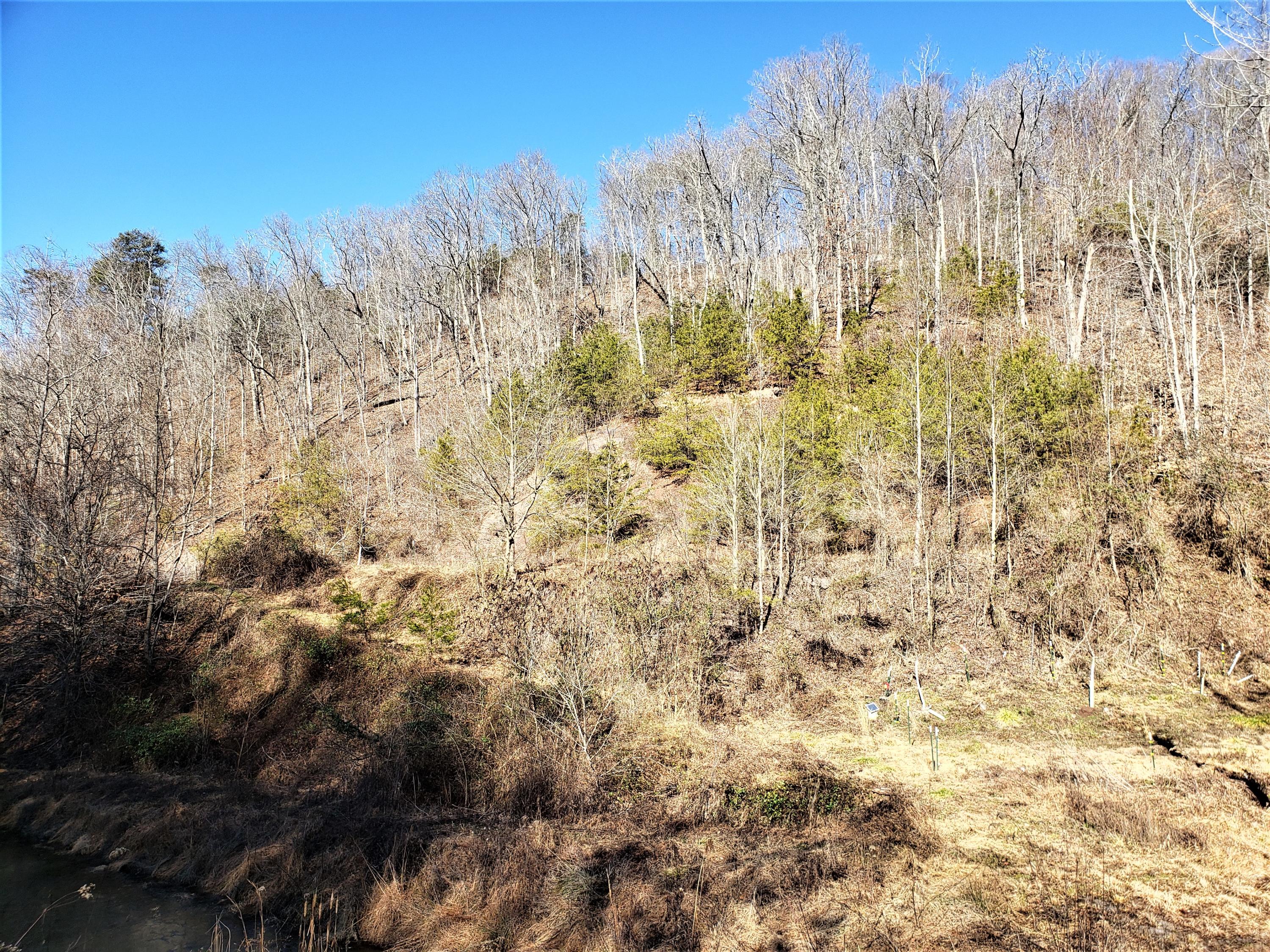 Tbd Hickory Cove Road Surgoinsville, TN 37873 - Photo 11 of 20 9