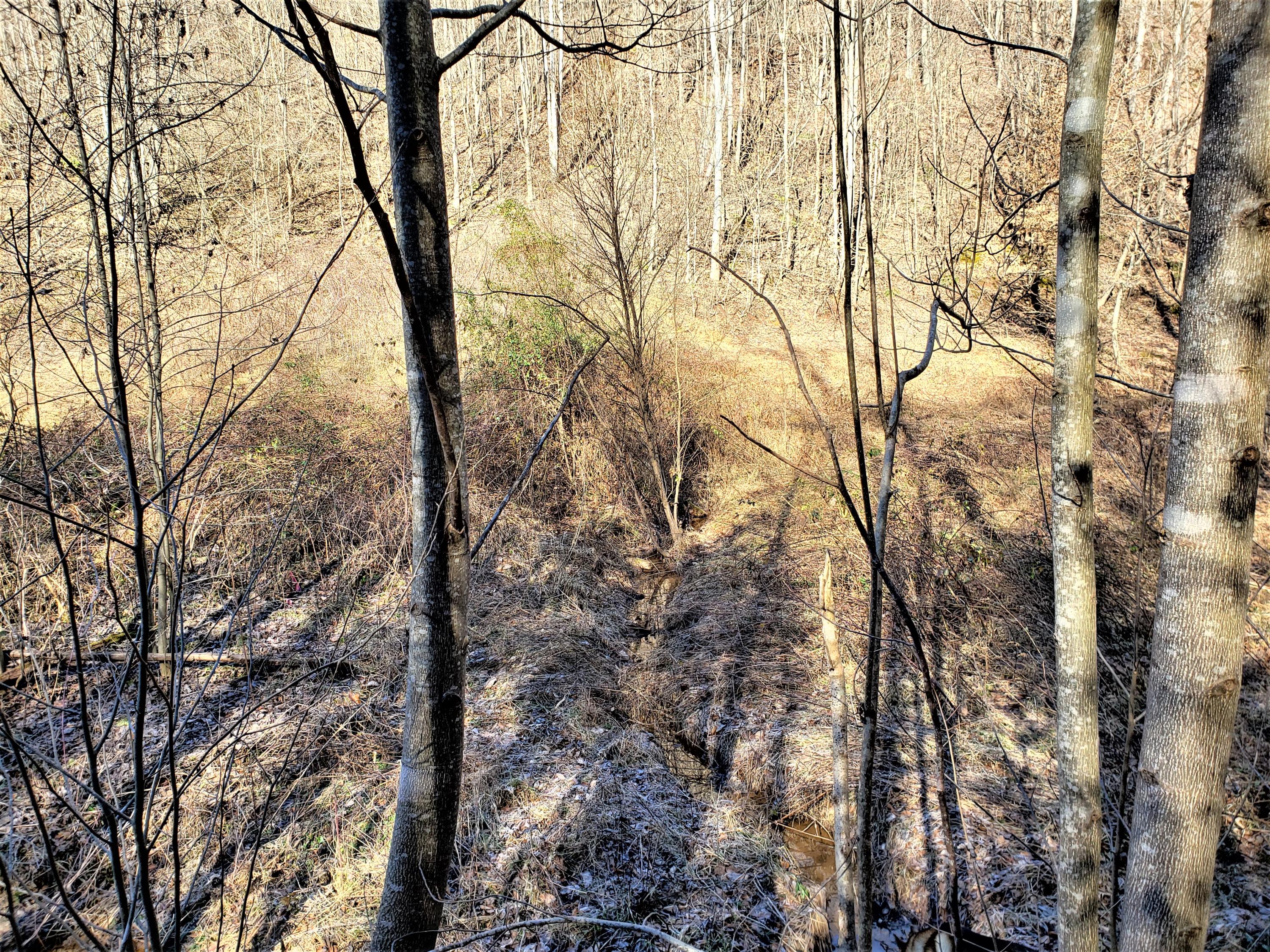 Tbd Hickory Cove Road Surgoinsville, TN 37873 - Photo 13 of 20 11