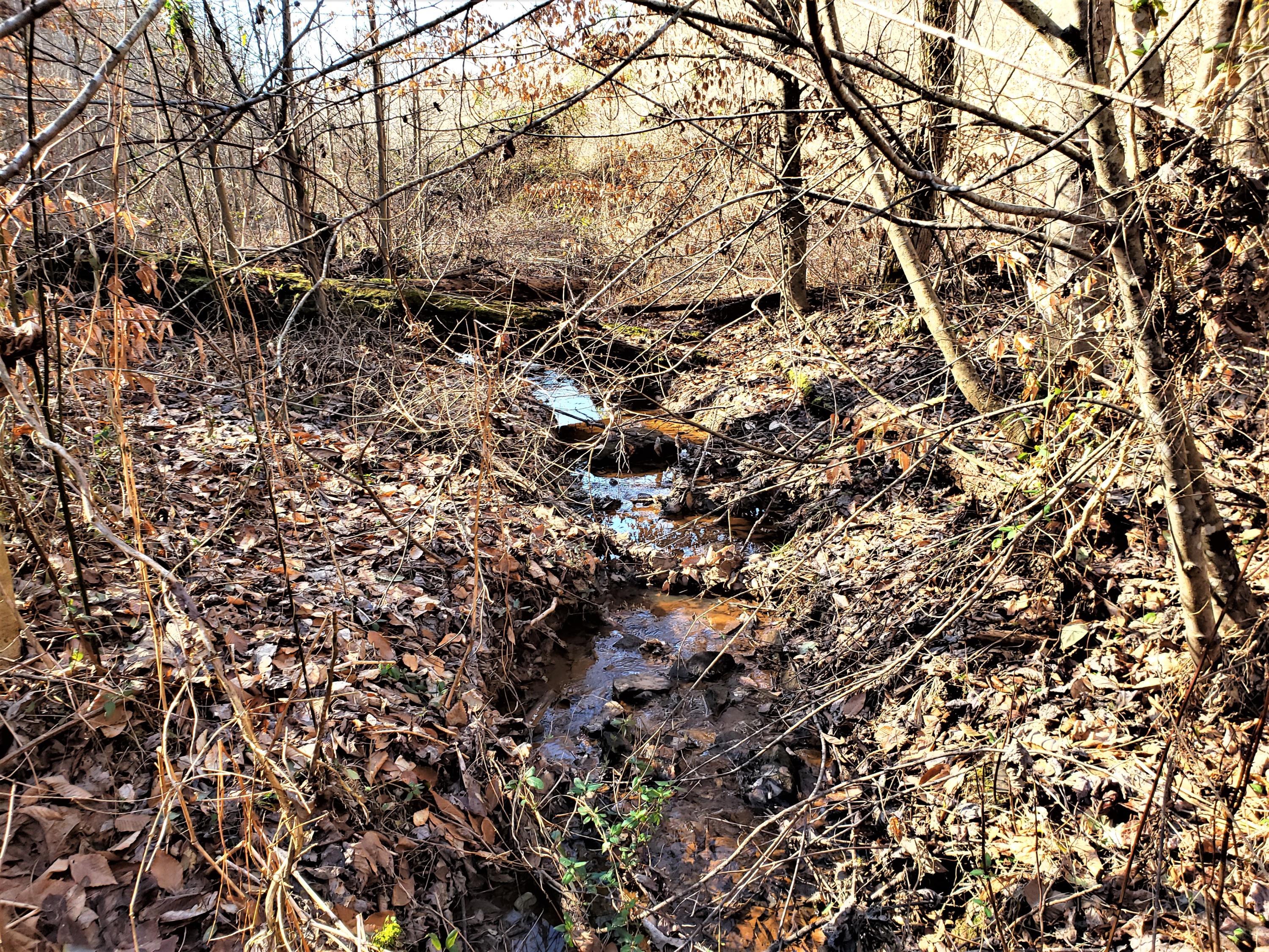 Tbd Hickory Cove Road Surgoinsville, TN 37873 - Photo 15 of 20 13