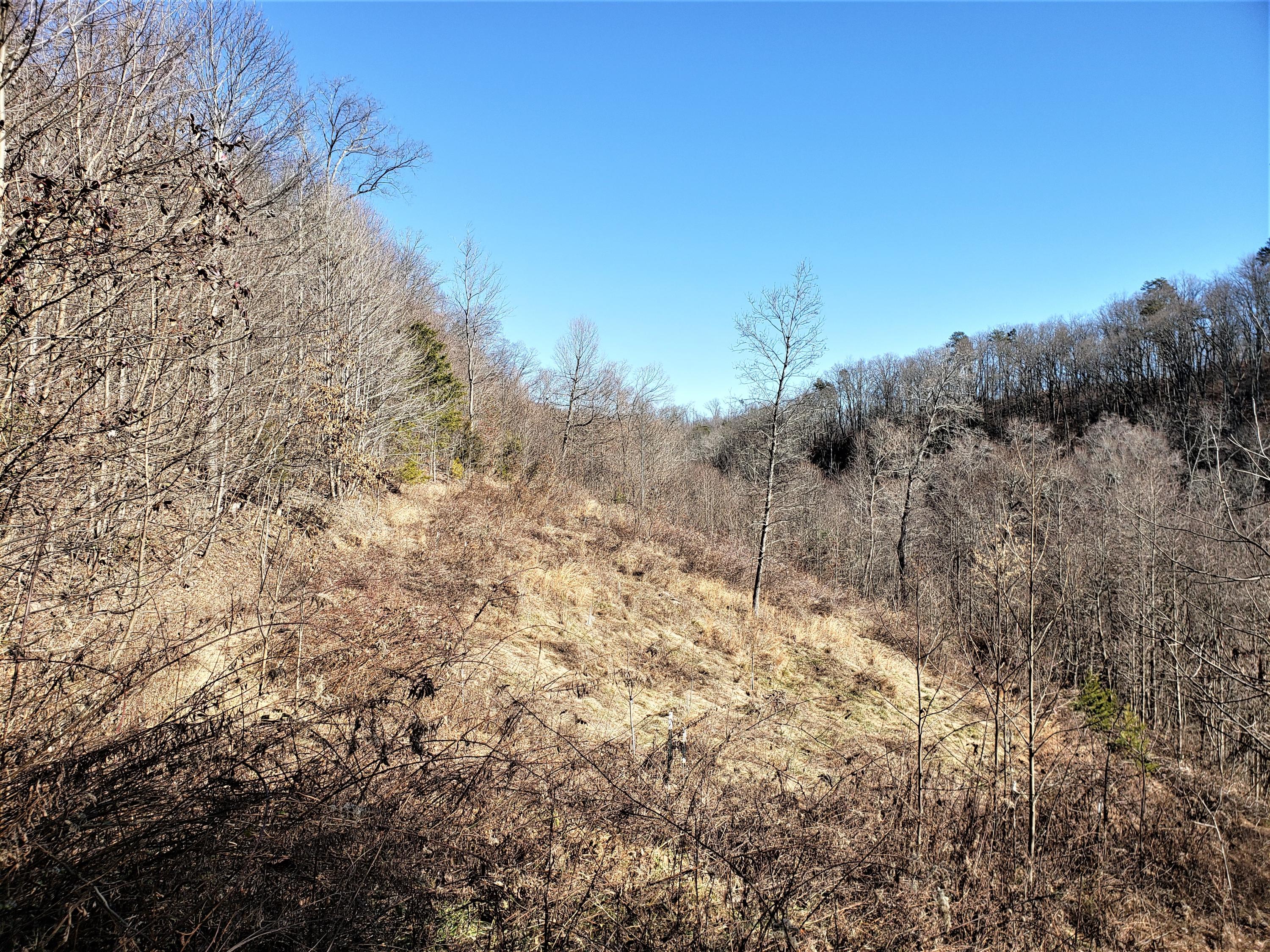 Tbd Hickory Cove Road Surgoinsville, TN 37873 - Photo 16 of 20 20