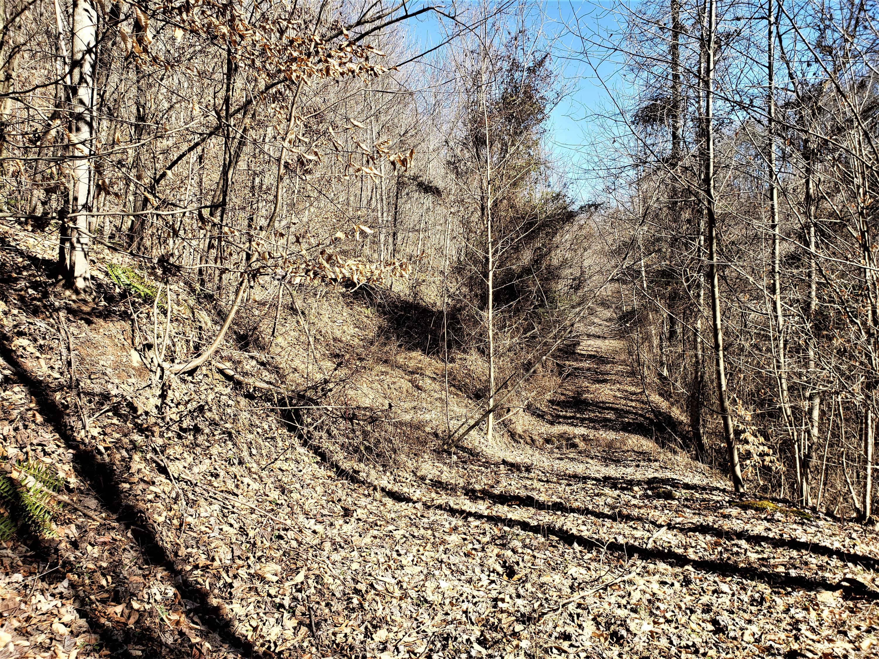 Tbd Hickory Cove Road Surgoinsville, TN 37873 - Photo 18 of 20 16