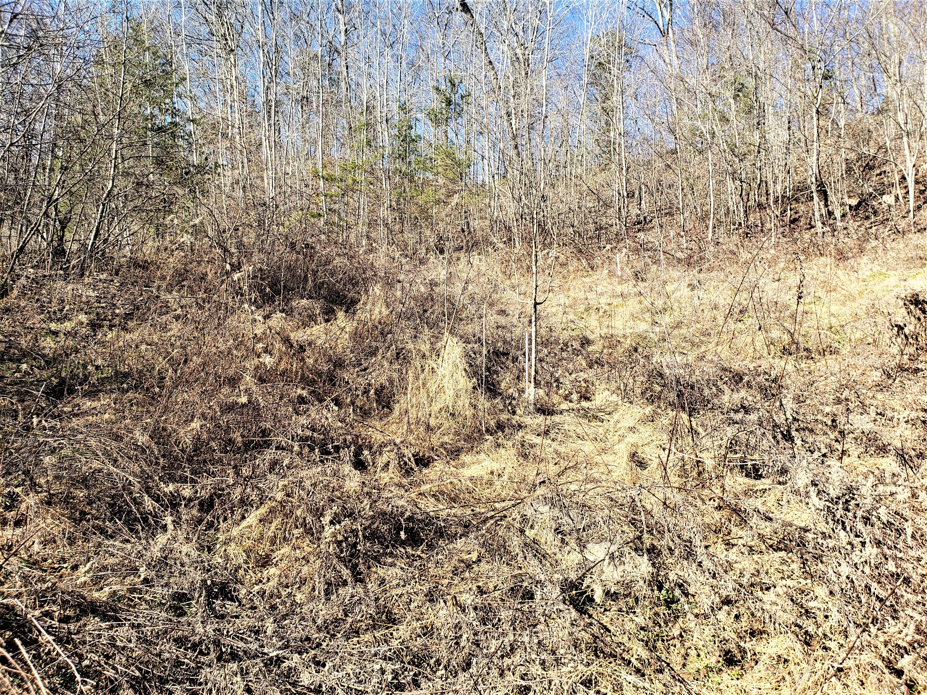 Tbd Hickory Cove Road Surgoinsville, TN 37873 - Photo 20 of 20 19