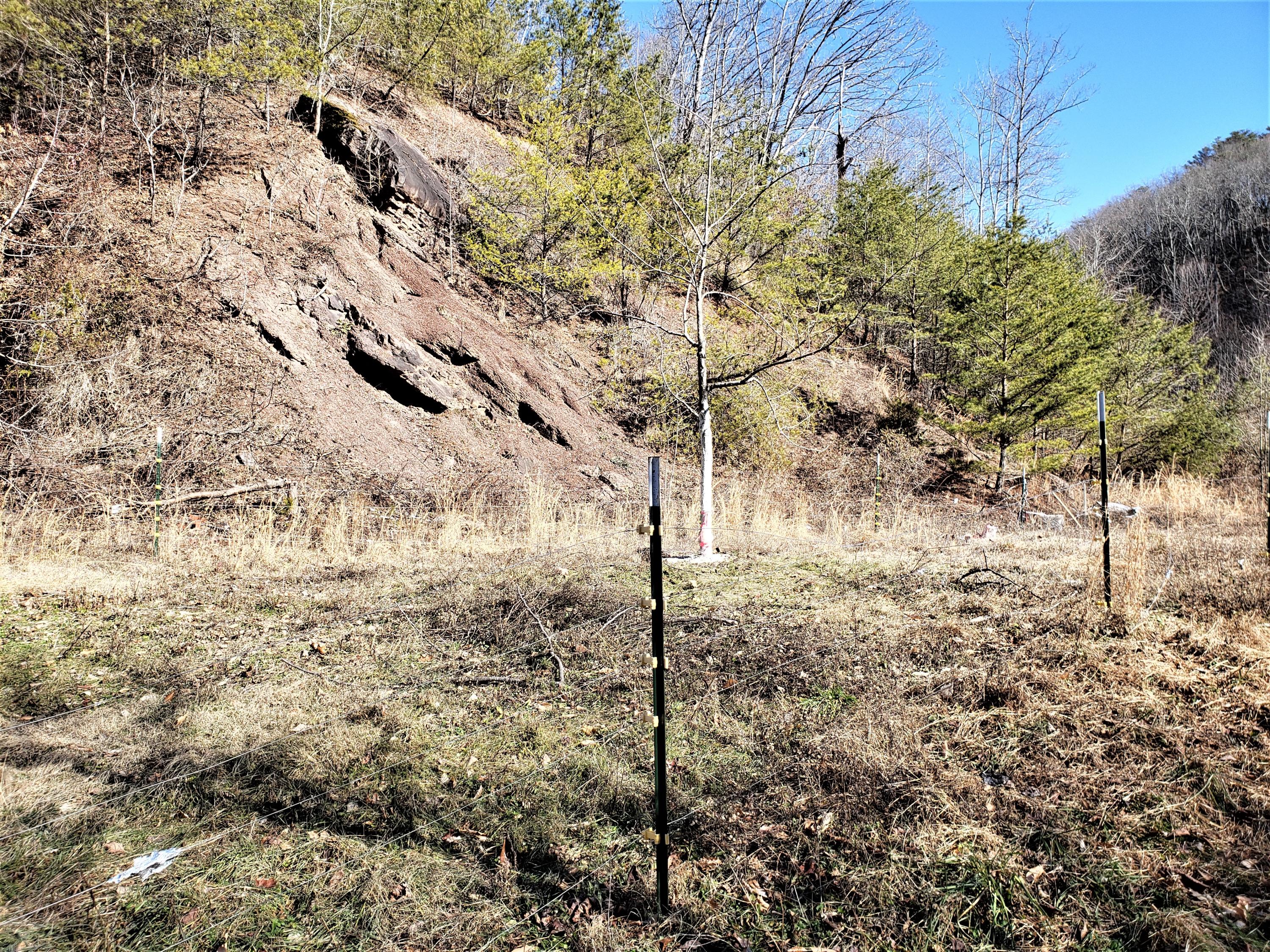 Tbd Hickory Cove Road Surgoinsville, TN 37873 - Photo 5 of 20 3