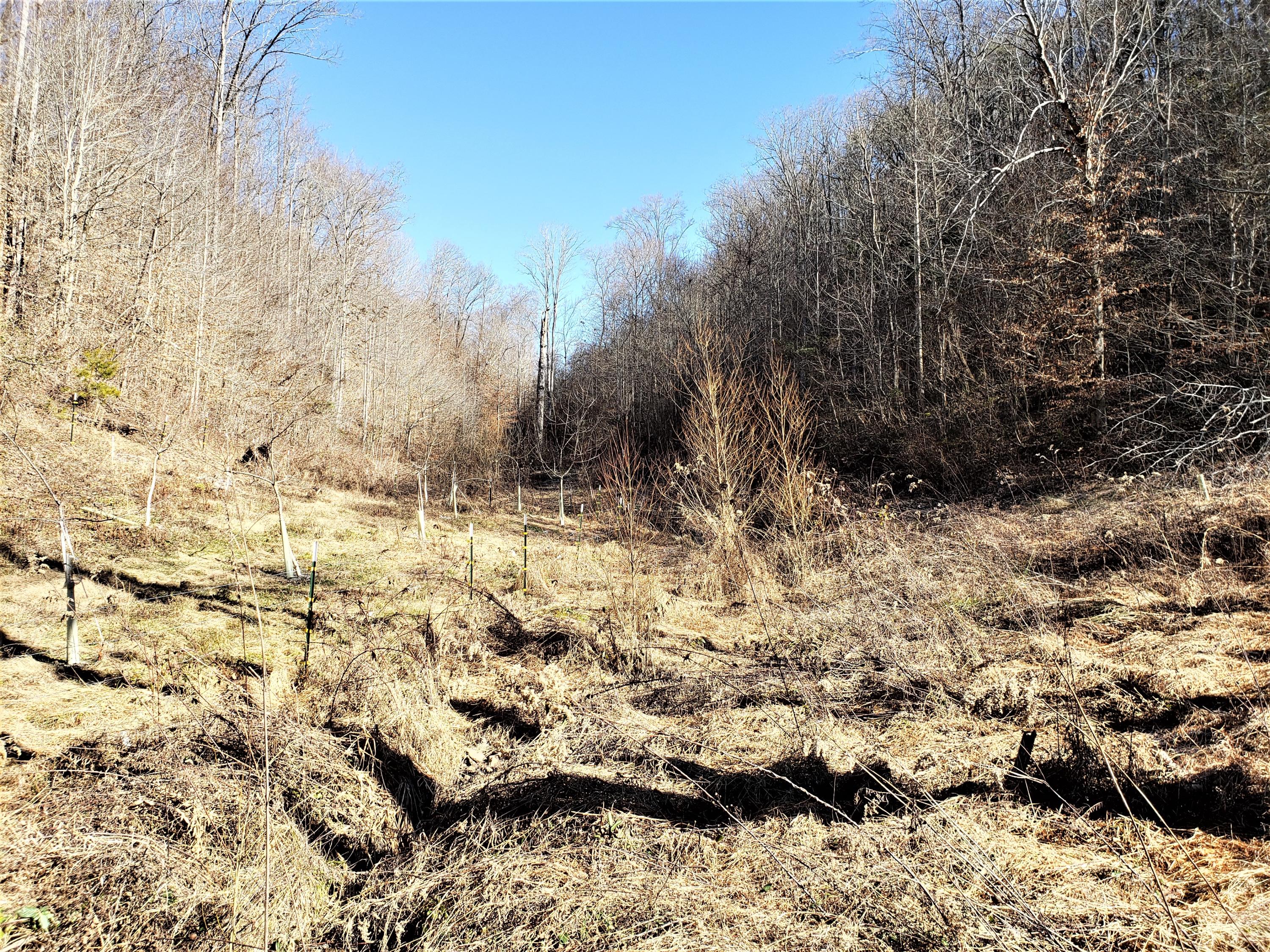 Tbd Hickory Cove Road Surgoinsville, TN 37873 - Photo 7 of 20 5