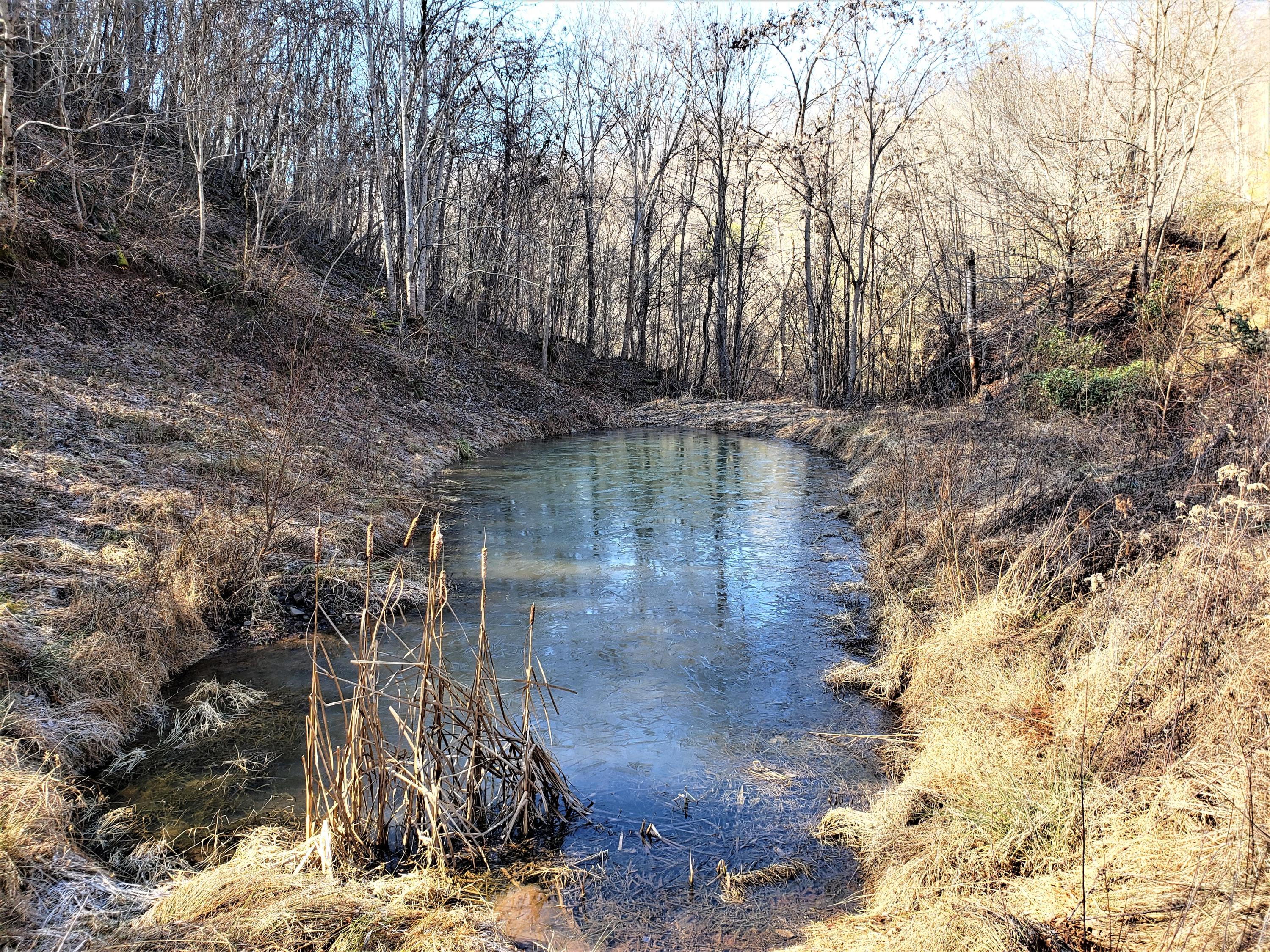 Tbd Hickory Cove Road Surgoinsville, TN 37873 - Photo 8 of 20 6