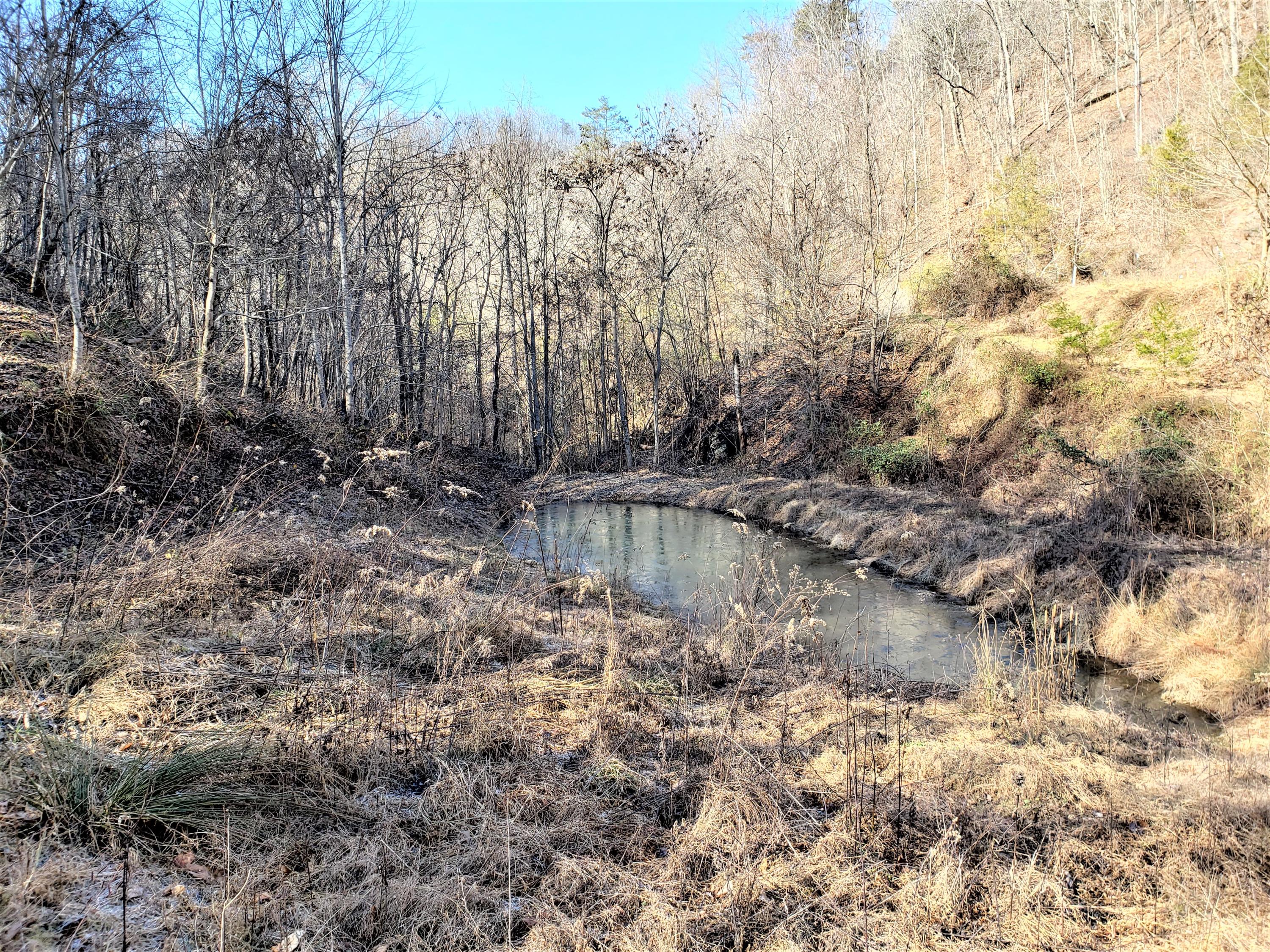 Tbd Hickory Cove Road Surgoinsville, TN 37873 - Photo 9 of 20 8