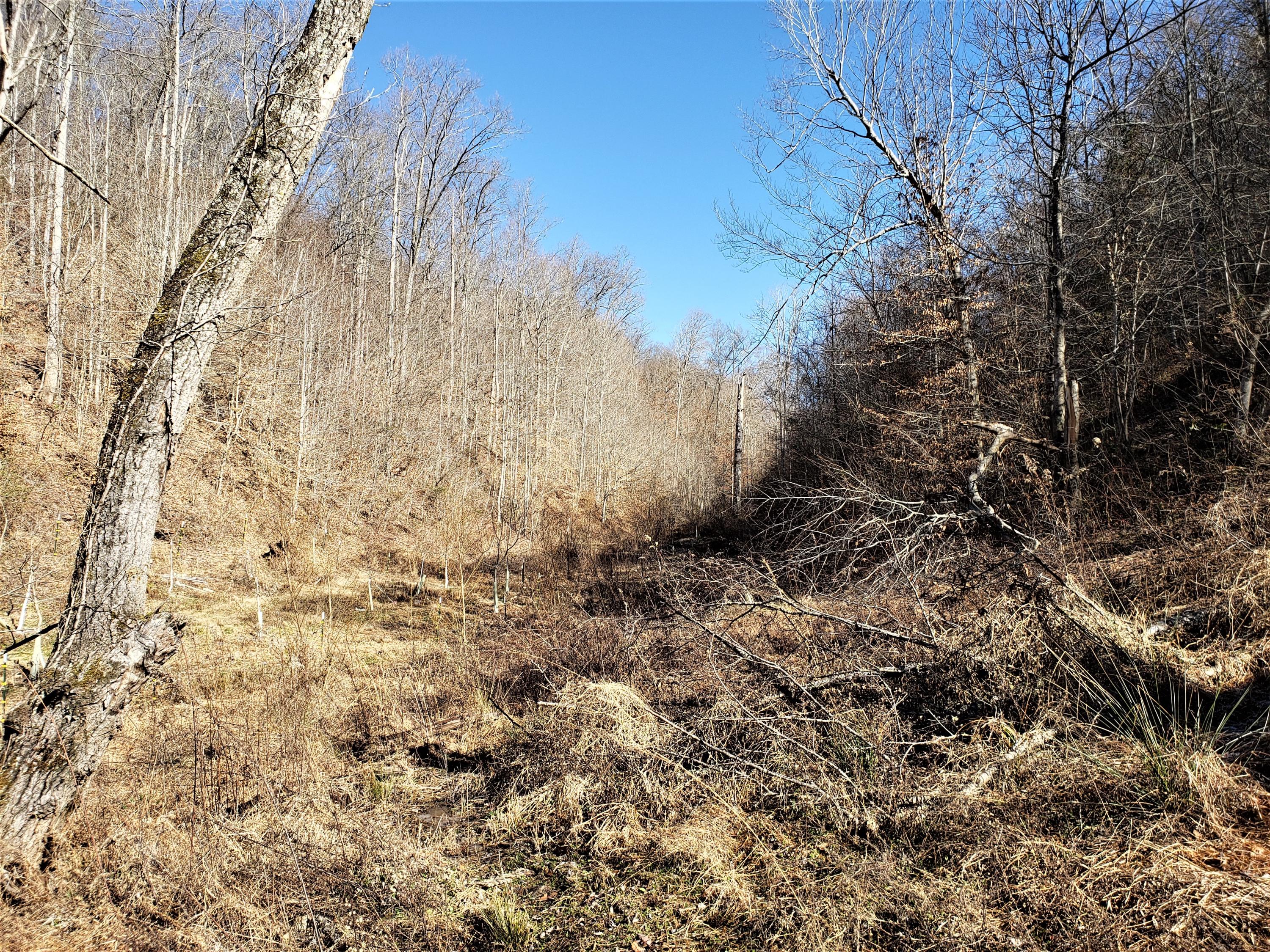 Tbd Hickory Cove Road Surgoinsville, TN 37873 - Photo 10 of 20 7