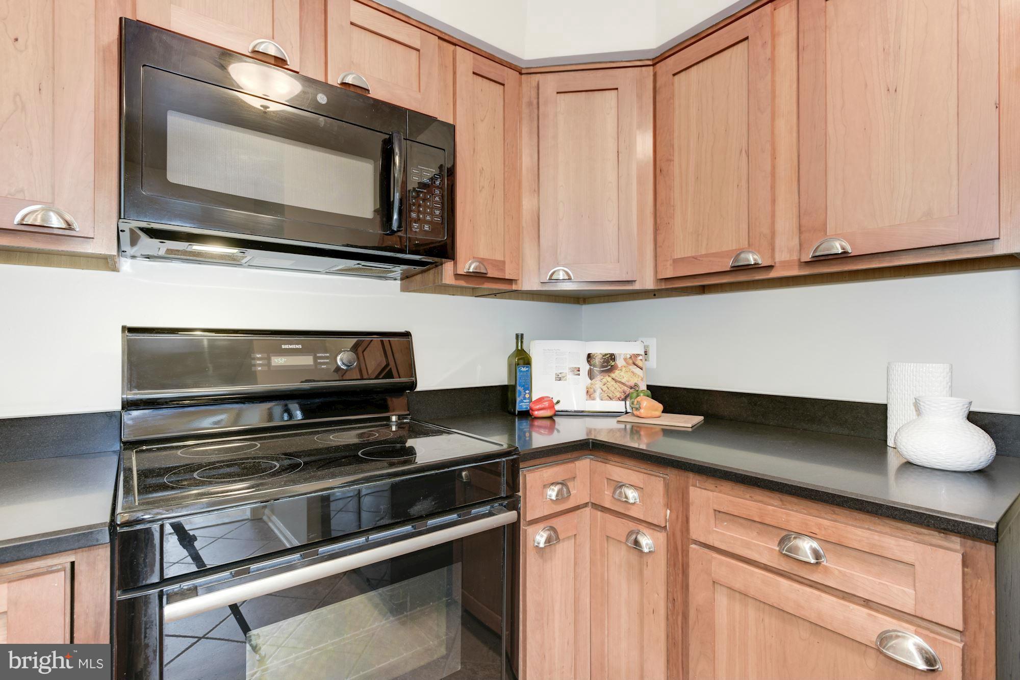 1513 Church Hill Place Reston, VA 20194 - Photo 11 of 29 Kitchen