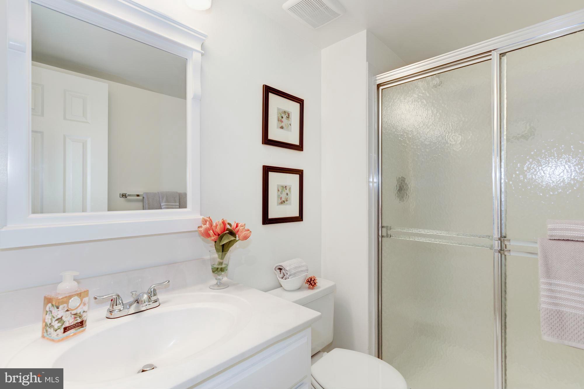 1513 Church Hill Place Reston, VA 20194 - Photo 16 of 29 Bath