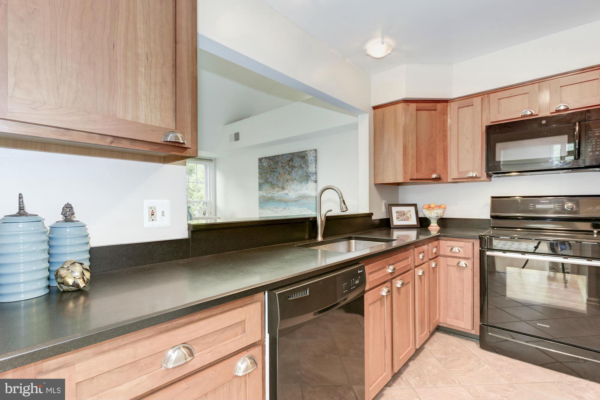 1513 Church Hill Place Reston, VA 20194 - Photo 9 of 29 Kitchen