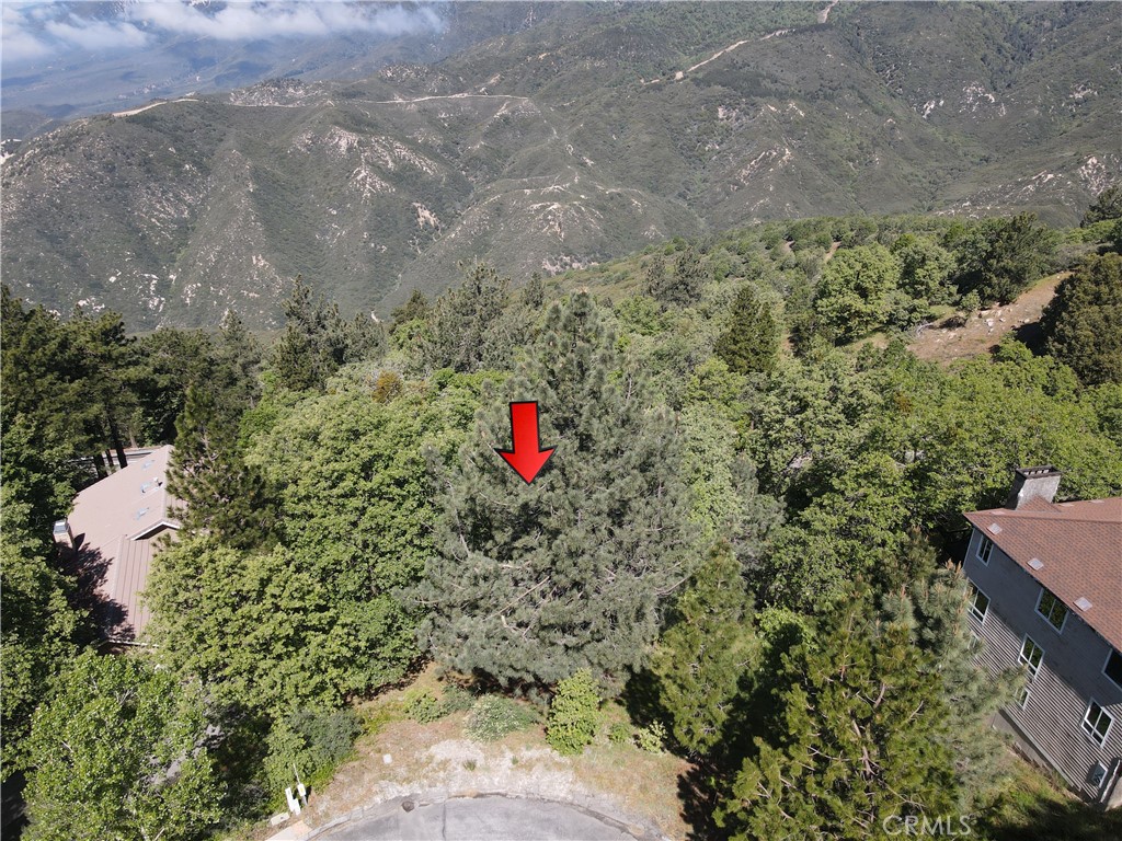 30029 Enchanted Way Running Springs, CA 92382 - Photo 1 of 8 a backyard of a house with a yard