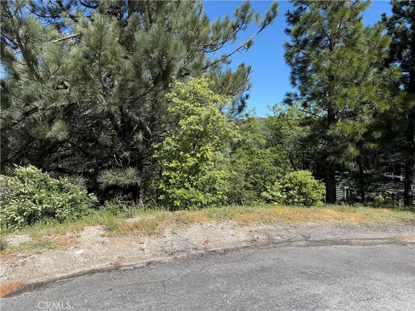 $55,000 | 30029 Enchanted Way, Running Springs, CA 92382